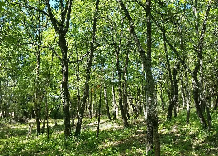La Maison Du Coq Greoux-les-Bains